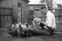 donn.GIF (78954 bytes)