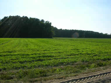 DSCN0135.JPG (1571960 bytes)