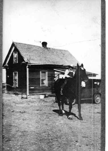 prariehouse.jpg (325086 bytes)